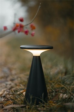 LAMPA STOŁOWA FUNGHI CZARNA 20cm, IP44