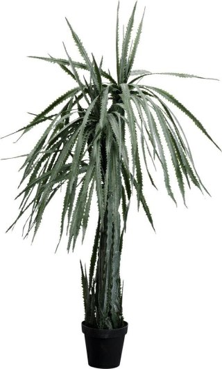 KARE roślina dekoracyjna DRAGON TREE 155 cm