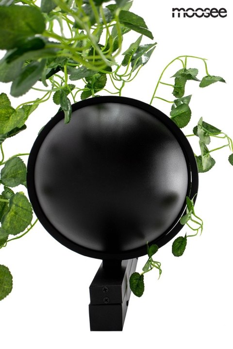 Lampa ścienna, kinkiet PLANT WALL czarna, rośliny, bluszcz