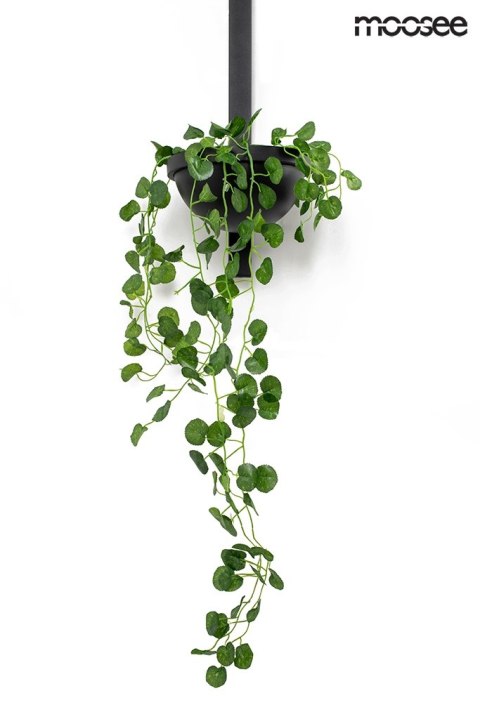 Lampa ścienna, kinkiet PLANT WALL czarna, rośliny, bluszcz