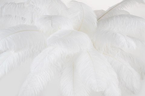 Lampa podłogowa TIFFANY 175 cm biała mosiądz / naturalne pióra