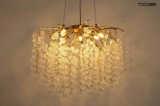 Lampa wisząca RIVIERA 80 złota / clear