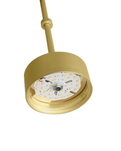 Lampa wisząca CAPRI DISC 3 złota