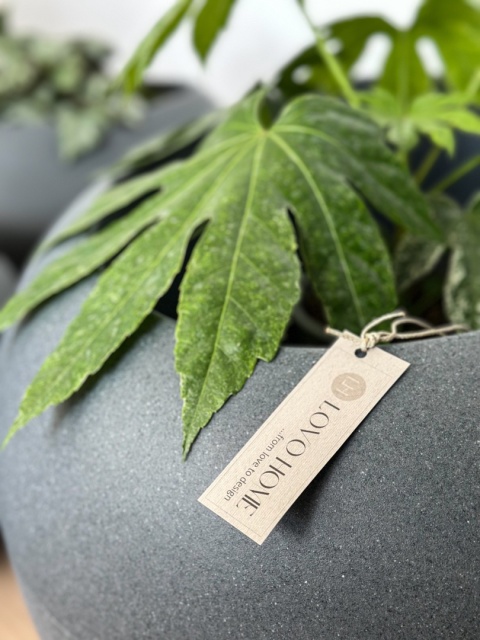 Donica CANOE, nowoczesna, nieregularna forma, niska