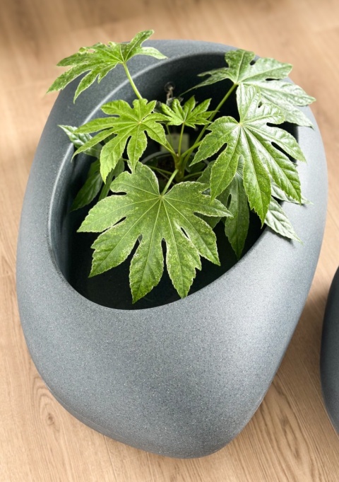 Donica CANOE, nowoczesna, nieregularna forma, niska