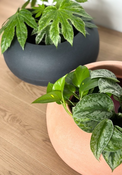 Donica TUBB Bowl, niska, misa, okrągła, nowoczesna