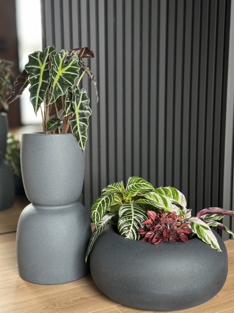 Donica GOBLET Slim, kształt wąskiego kielicha, dwustronna, nowoczesna