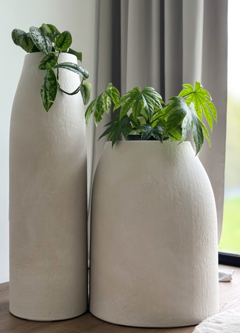 tall + bold