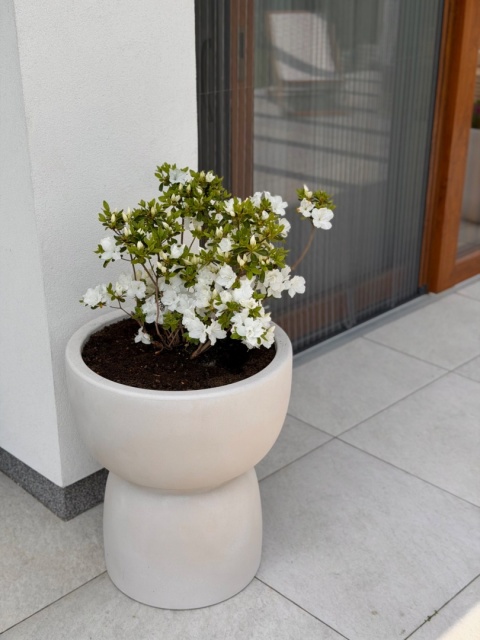 GOBLET Round, donica kształt kielicha, dwustronna, nowoczesna