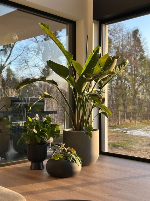 Donica ALTA High, okrągła ,nowoczesna