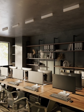 LAMPA SUFITOWA X-LINE 40,2cm